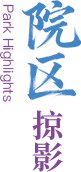 就诊须知