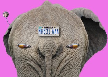 IF Meals: What to Eat During Intermittent Fasting