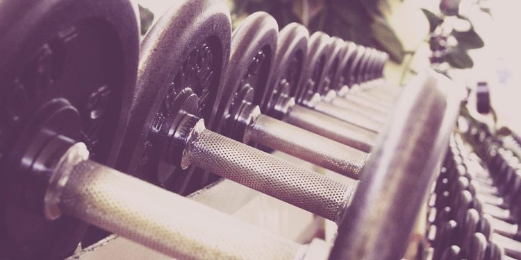 Gym Workouts for Weight Loss: Your Guide (35 char)