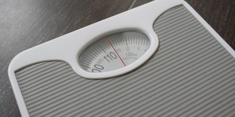 Gut Health & Weight: The Surprising Connection