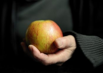 Intermittent Fasting Meals: Your Quick Start Guide