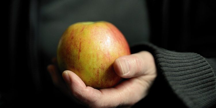 Intermittent Fasting Meals: Your Quick Start Guide