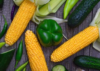 Lose Weight Sustainably: Real Results, Real Life