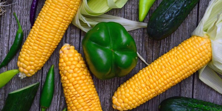 Lose Weight Sustainably: Real Results, Real Life