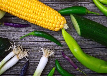 Weight Loss Science: Debunking the Myths (37)