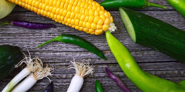 Weight Loss Science: Debunking the Myths (37)