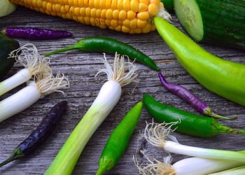 Achieve Sustainable Weight Loss: The Secrets