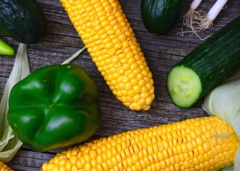 Weight Loss That Lasts: Sustainable Strategies