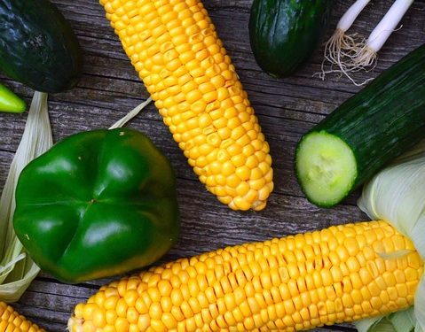 Weight Loss That Lasts: Sustainable Strategies